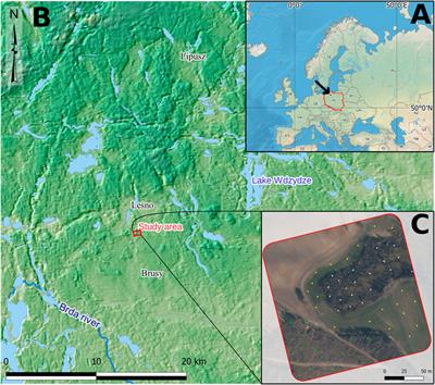 Assessment of the Applicability of UAV for the Creation of Digital Surface Model of a Small Peatland